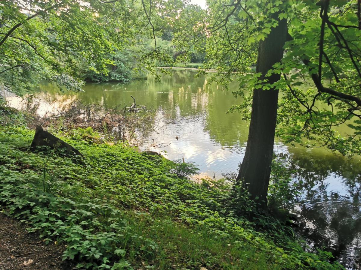 Schoene 3-Zimmer Erdgeschosswohnung Am Bergpark,Unesco,Therme,Train, Wilhelmshoeher Allee 329 Kassel Exteriör bild